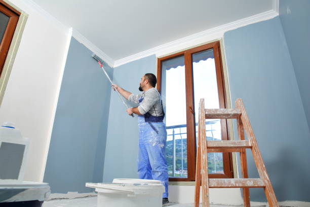 Best Repainting for Renovations  in North Judson, IN